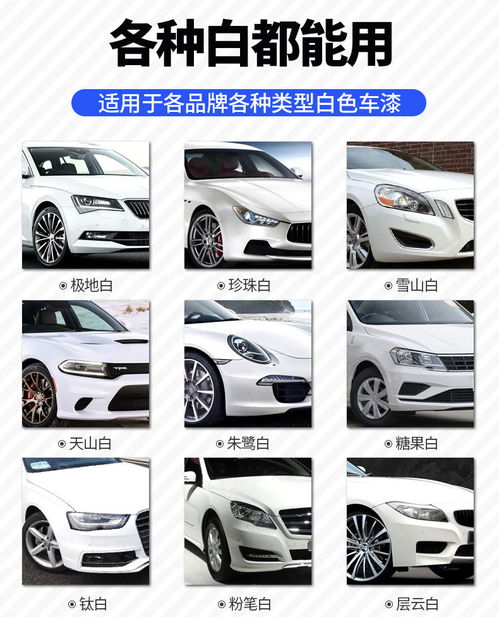 白色汽车打蜡多少费用